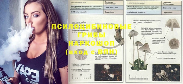 спиды Волоколамск